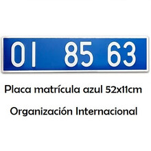 Placa Larga Azul · Organización Internacional · Aluminio 520x110mm