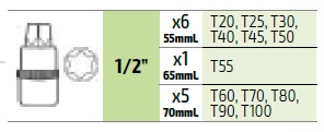 12 piezas - Estuche de puntas Torx de 1/2"