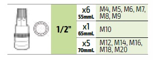 12 piezas - Estuche de puntas Torx de 1/2"