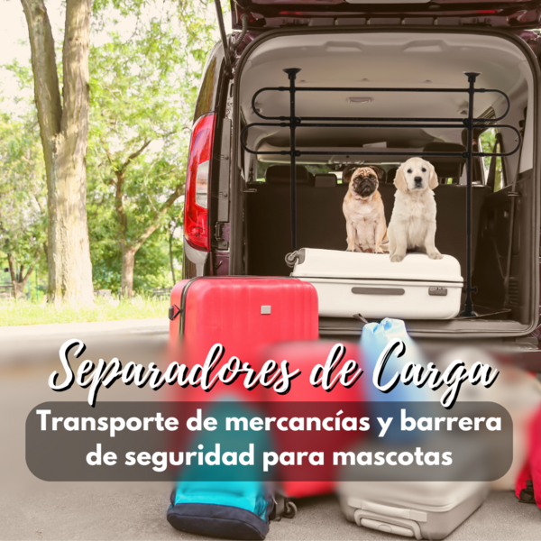 Post: Separadores de Carga: Un Viaje Seguro y Organizado