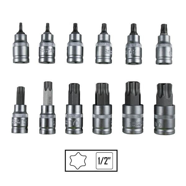 12 piezas - Estuche de puntas Torx de 1/2" (1)