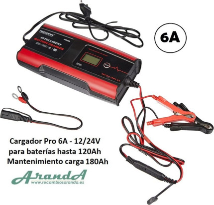 6A 180Ah Absaar Cargador Baterías Inteligente 12/24V