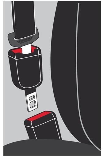 Qué son los alargadores de cinturón y por qué no son recomendables