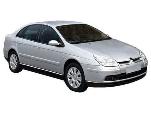 Citroen C5 (2004-2008) Rejilla Inferior Paragolpes Delantero (1)