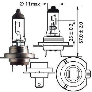 H7 Lámpara Halógena 12V 55W (1)