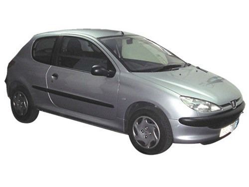 Peugeot 206 (1998-2009) Paragolpes Delantero (1)