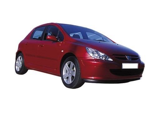 Peugeot 307 2000-2005 Moldura ParachoquesTrasero (1)