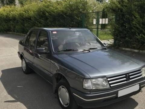 Peugeot 309 (1990-1992) Rejilla Frontal (2ª serie) (1)