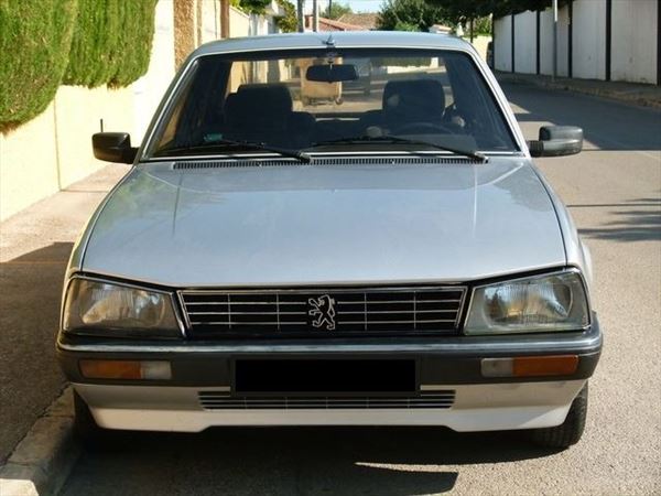 Peugeot 505 (2ª Serie) Paragolpes Delantero con Moldura Cromada (1)