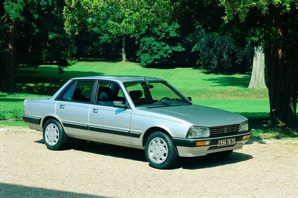 Peugeot 505 (2ª Serie) Paragolpes Delantero con Moldura Cromada (2)