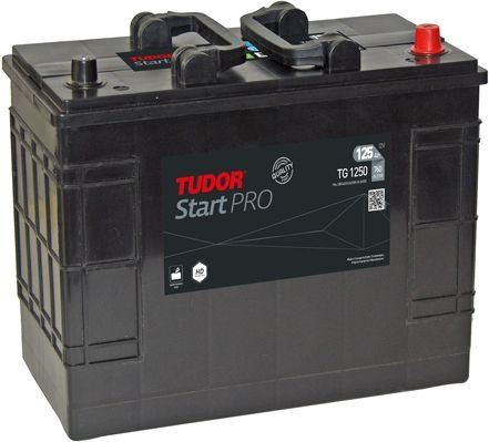 TG1250 Batería Tudor 12V 125Ah 760A -/+ Vehículos grandes e industriales